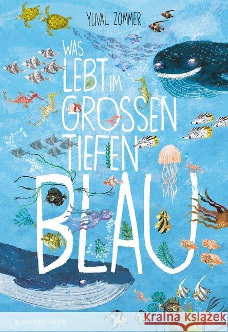Was lebt im großen tiefen Blau? Zommer, Yuval 9783737356619 FISCHER Sauerländer