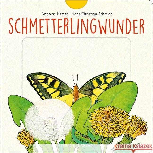 Schmetterlingwunder Német, Andreas; Schmidt, Hans-Christian 9783737356954