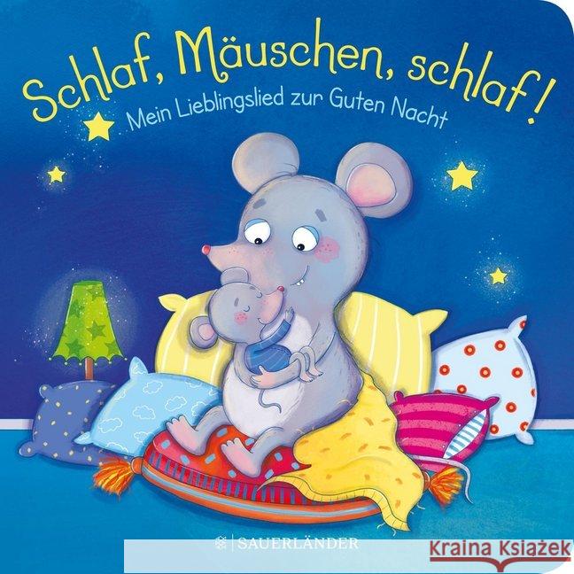 Schlaf, Mäuschen, schlaf! : Mein Lieblingslied zur Guten Nacht Häfner, Carla 9783737357029