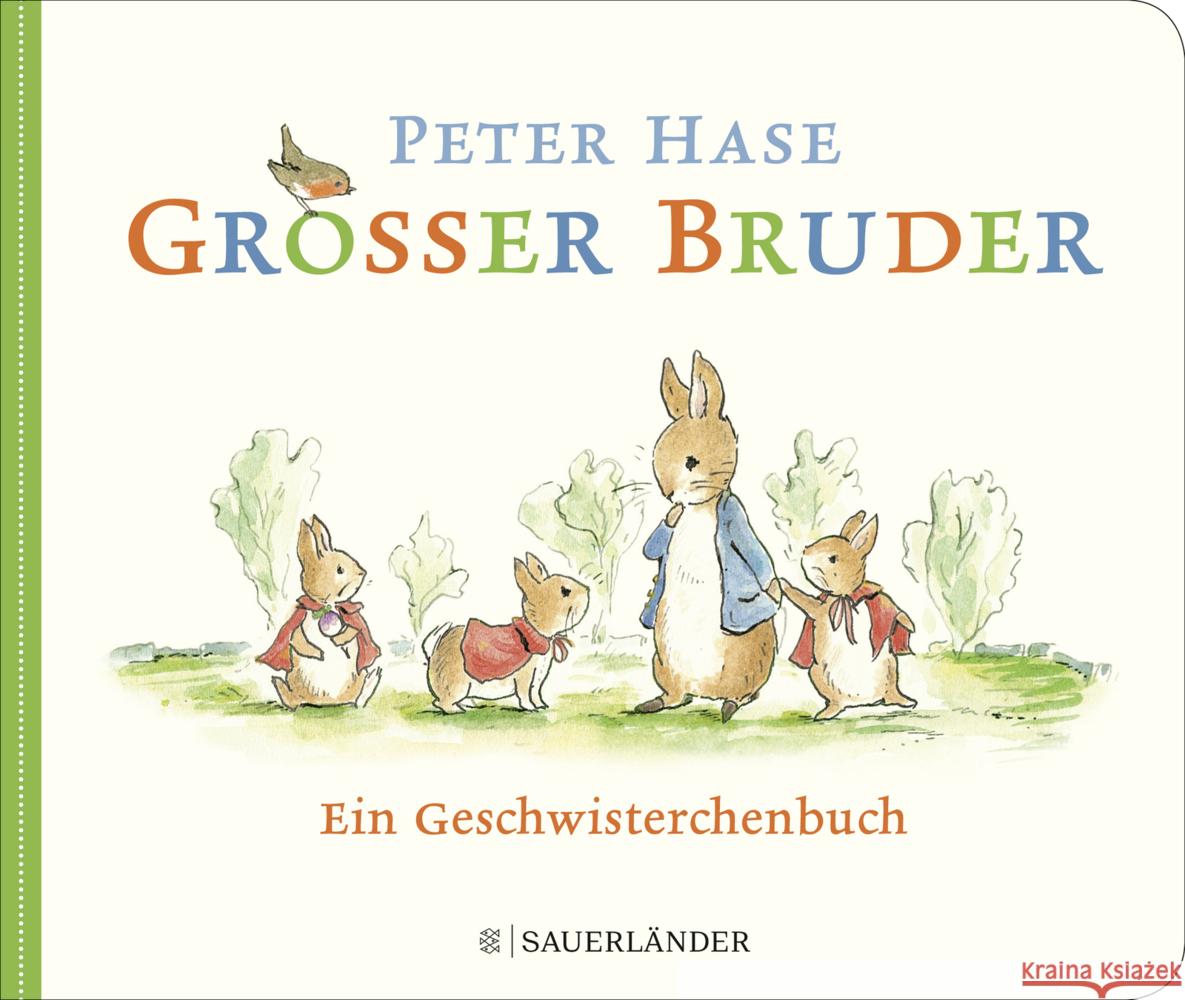 Peter Hase - Großer Bruder Potter, Beatrix 9783737357593 FISCHER Sauerländer