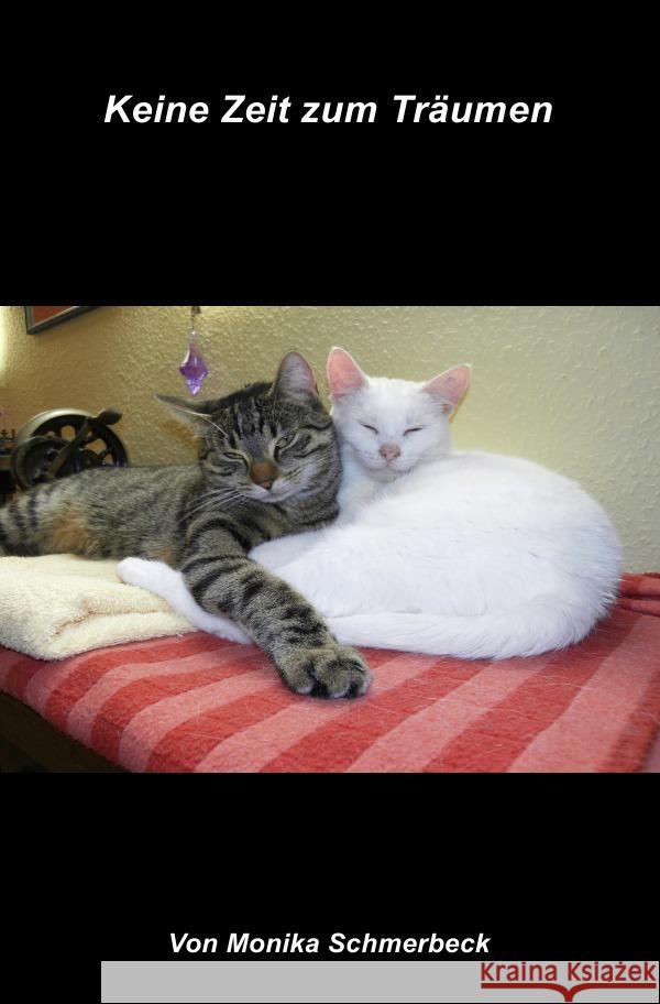 Keine Zeit zum Träumen Schmerbeck, Monika 9783737533676