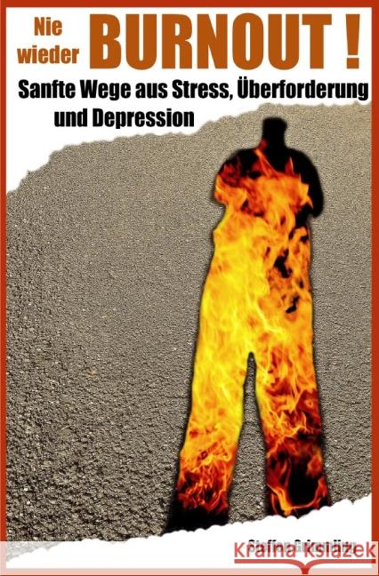 Nie wieder Burnout! : Sanfte Wege aus Stress, Überforderung und Depression Grimmling, Steffen 9783737581226