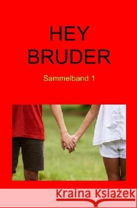 Hey Bruder : Sammelband 1 Brink, Manuela 9783737582568