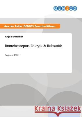 Branchenreport Energie & Rohstoffe: Ausgabe 1/2011 Schneider, Anja 9783737943956