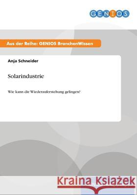 Solarindustrie: Wie kann die Wiederauferstehung gelingen? Schneider, Anja 9783737948449