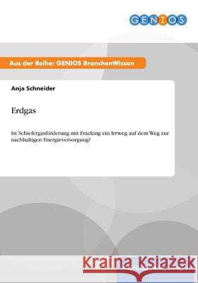 Erdgas: Ist Schiefergasförderung mit Fracking ein Irrweg auf dem Weg zur nachhaltigen Energieversorgung? Schneider, Anja 9783737959681