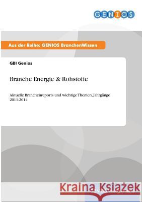 Branche Energie & Rohstoffe: Aktuelle Branchenreports und wichtige Themen, Jahrgänge 2011-2014 Genios, Gbi 9783737960991 Gbi-Genios Verlag