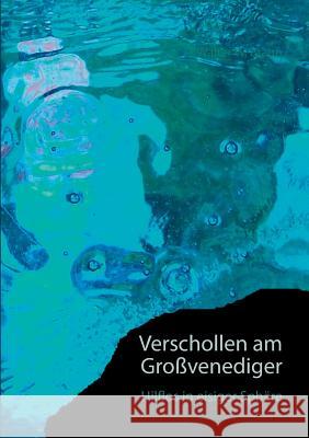 Verschollen am Großvenediger: Hilflos in eisiger Sphäre Braun, Walter W. 9783738645484