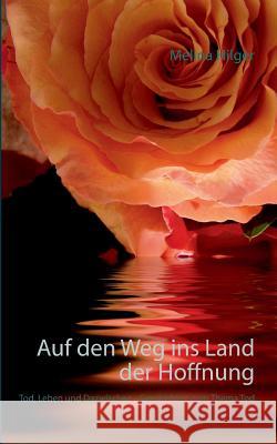Auf den Weg ins Land der Hoffnung: Tod, Leben und Dazwischen - Geschichten zum Thema Tod Melina Hilger 9783739206684 Books on Demand
