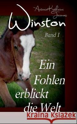 Winston - Ein Fohlen erblickt die Welt: Pferdebuchserie in drei Bänden Antonia Katharina Tessnow 9783740715151