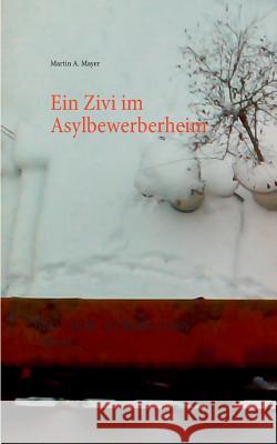 Ein Zivi im Asylbewerberheim: Brd - Ddr - Europa (1986 - 2016) Mayer, Martin a. 9783740726980