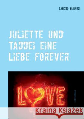 Juliette und Taddei eine Liebe forever Sandro Hübner 9783740730307