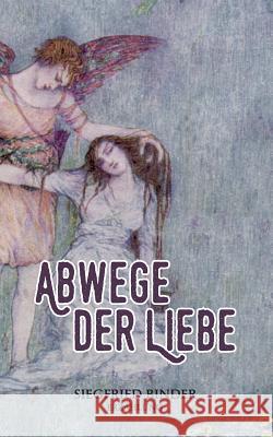 Abwege der Liebe: Erzählung Binder, Siegfried 9783740750640