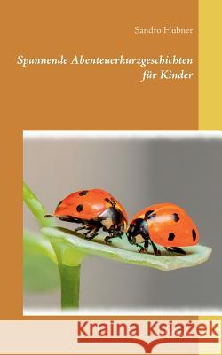 Spannende Abenteuerkurzgeschichten für Kinder Sandro Hubner   9783740754150 Twentysix