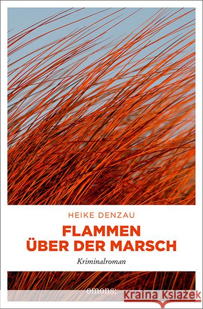 Flammen über der Marsch Denzau, Heike 9783740812508