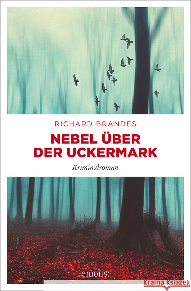 Nebel über der Uckermark Brandes, Richard 9783740818395