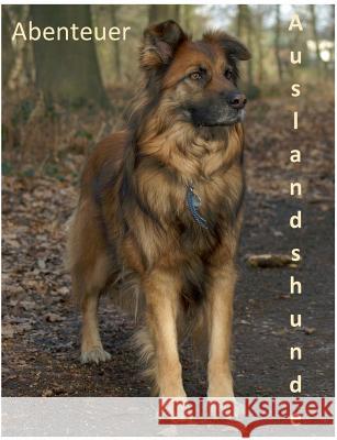 Abenteuer Auslandshunde Daniela Tschepe 9783741237461 Books on Demand