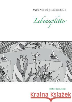 Lebenssplitter: Splitter des Lebens Prem, Brigitte 9783741240904 Books on Demand