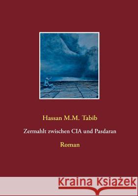 Zermahlt zwischen CIA und Pasdaran: Roman Tabib, Hassan M. M. 9783741250637 Books on Demand