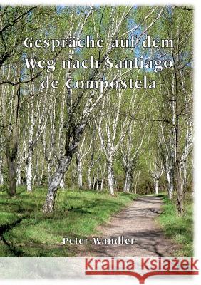 Gespräche auf dem Weg nach Santiago de Compostela Peter Wandler 9783741281761 Books on Demand