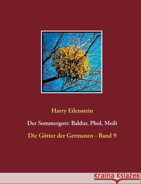 Der Sommergott: Baldur, Phol und Meili Harry Eilenstein 9783741294716 Books on Demand