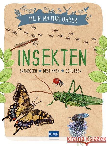 Mein Naturführer - Insekten : Entdecken - bestimmen - schützen Japiot, Xavier 9783741524660