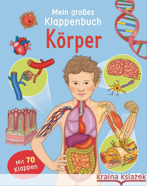 Mein großes Klappenbuch - Körper Barsotti, Eleonora 9783741525025