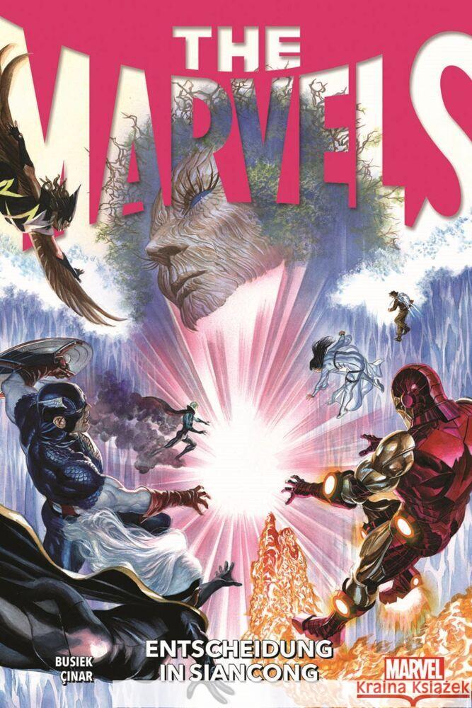 The Marvels Busiek, Kurt, Cinar, Yildiray 9783741628979 Panini Manga und Comic