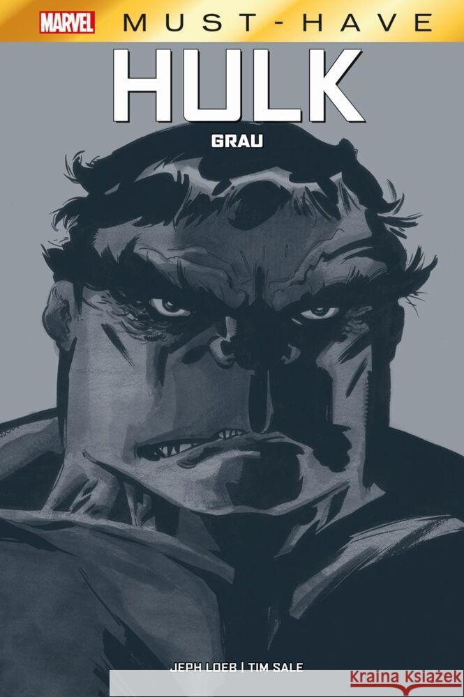 Marvel Must-Have: Hulk - Grau Loeb, Jeph, Sale, Tim 9783741631313 Panini Manga und Comic