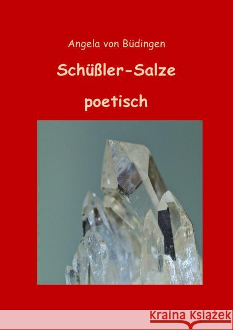 Schüßler-Salze poetisch Büdingen, Angela von 9783741826115 epubli