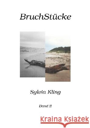 BruchStücke : Band II Kling, Sylvia 9783741841620
