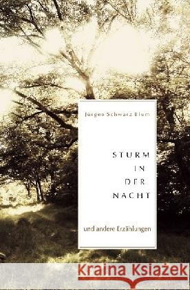 Sturm in der Nacht : und andere Erzählungen Schwarz Blum, Jürgen 9783741844317