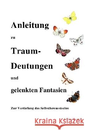 Anleitung zu Traumdeutungen und gelenkten Fantasien : Zur Vertiefung des Selbstbewusstseins Jurczek, Heide 9783741844409