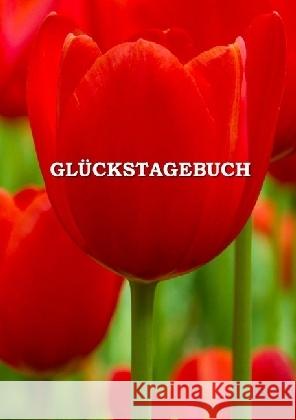 Glückstagebuch : Tag für Tag glücklicher Miskovics, Gábor 9783741856266