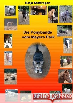 Die Ponybande vom Meyers Park Stoffregen, Katja 9783741857027