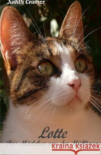 Lotte - Das Mädchen aus der Mülltonne Cramer, Judith 9783741861406