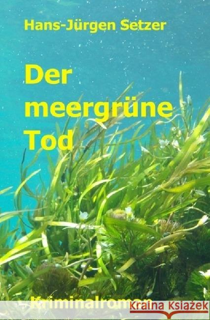 Der meergrüne Tod Setzer, Hans-Jürgen 9783741868832