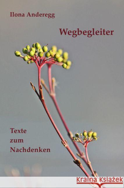 Wegbegleiter : Texte zum Nachdenken Anderegg, Ilona 9783741895746