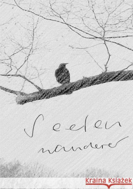 Seelenwanderer Mahr, Maria-Sophia 9783741898662