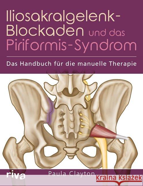 Iliosakralgelenk-Blockaden und das Piriformis-Syndrom : Das Handbuch für die manuelle Therapie Clayton, Paula 9783742305015