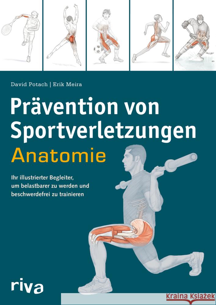 Prävention von Sportverletzungen - Anatomie Potach, David, Meira, Erik 9783742324047