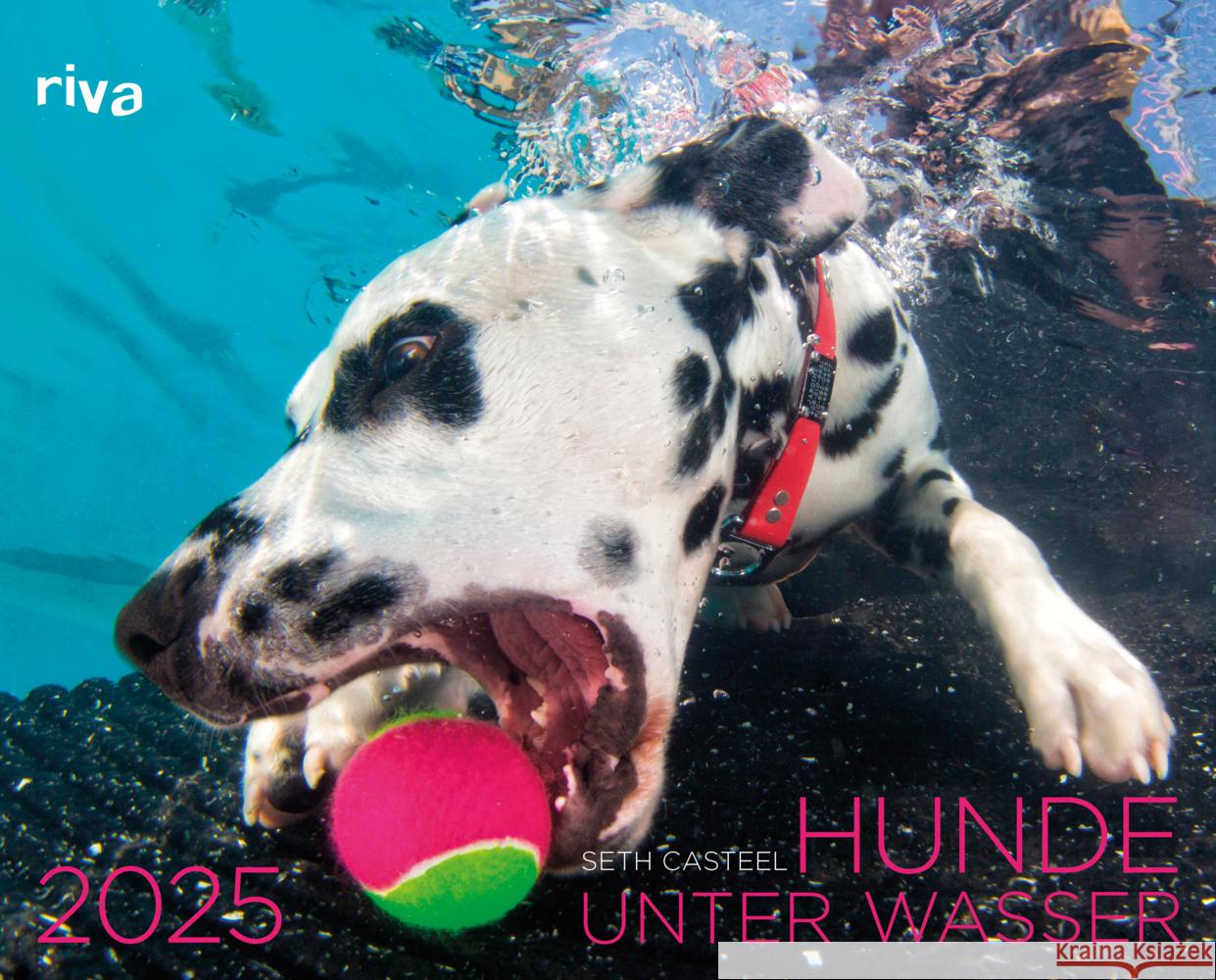 Hunde unter Wasser 2025 Casteel, Seth 9783742326331