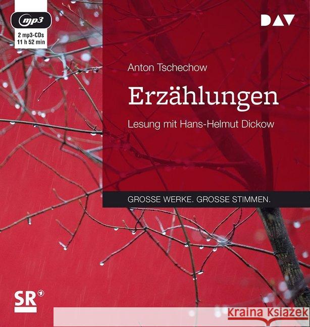 Erzählungen, 2 MP3-CDs : MP3 Format, Lesung Tschechow, Anton 9783742402332