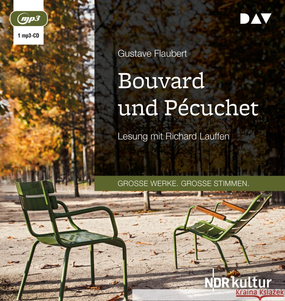 Bouvard und Pécuchet, 1 Audio-CD, 1 MP3 Flaubert, Gustave 9783742415264