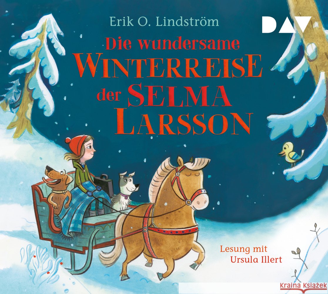 Die wundersame Winterreise der Selma Larsson, 2 Audio-CD Lindström, Erik Ole 9783742416353