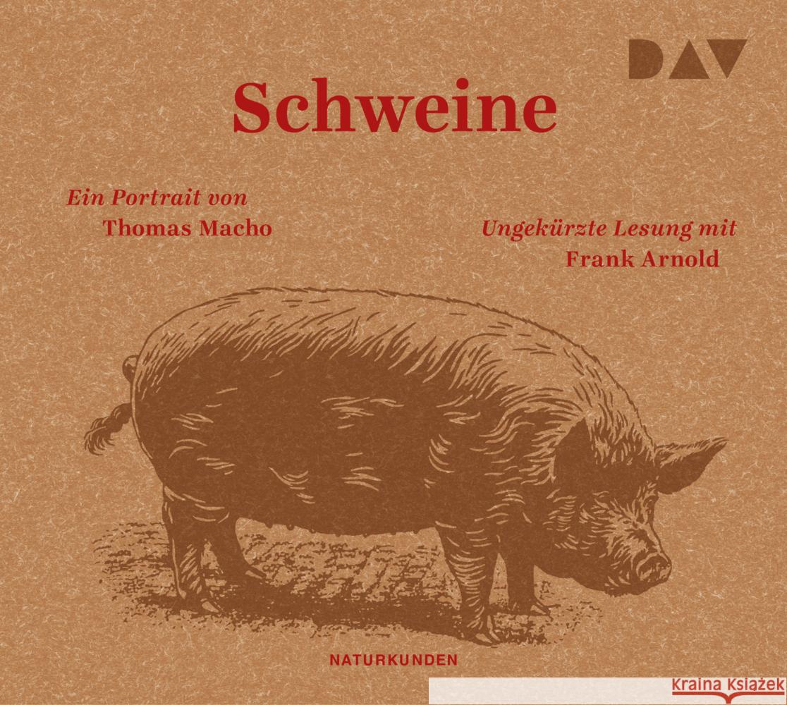 Schweine. Ein Portrait, 3 Audio-CD Macho, Thomas 9783742423221