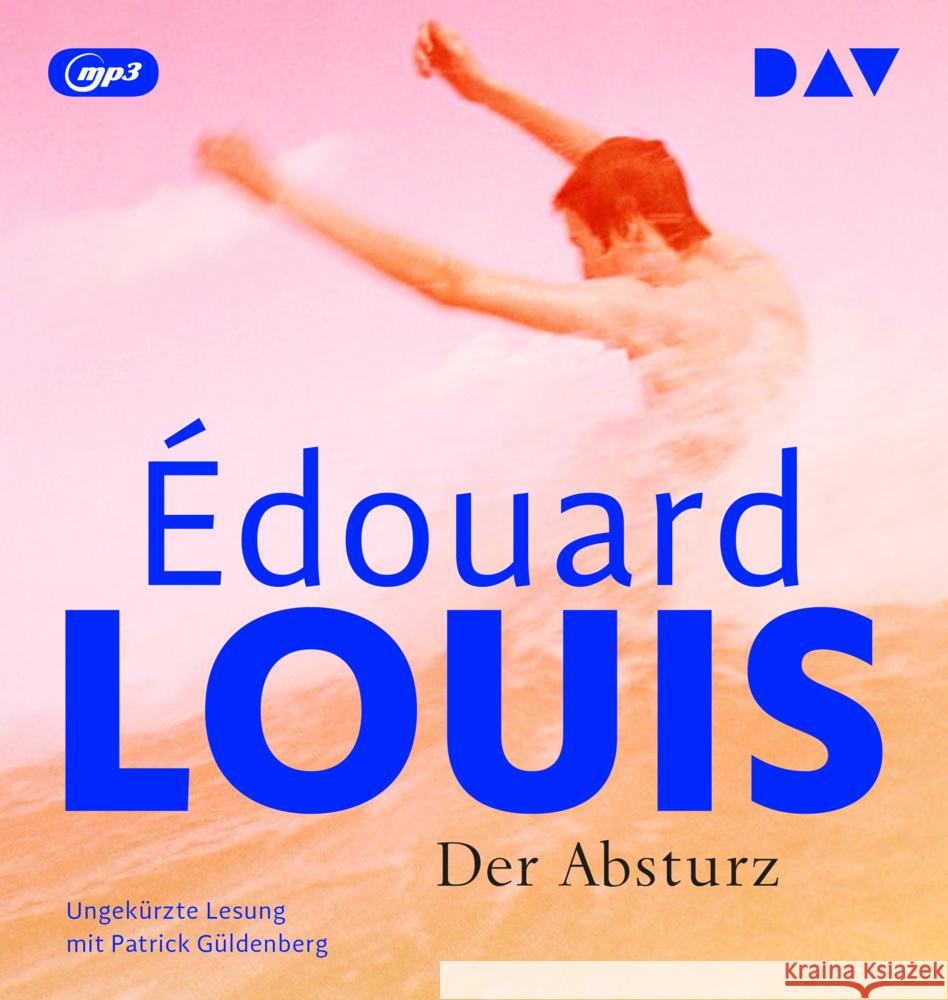 Der Absturz, 1 Audio-CD, 1 MP3 Louis, Édouard 9783742436313