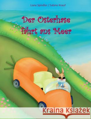 Der Osterhase fährt ans Meer Liane Spindler Sabine Knauf 9783743109063 Books on Demand