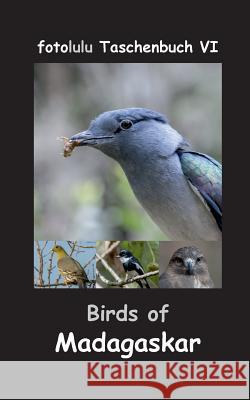Birds of Madagaskar Fotolulu 9783743125209 Books on Demand