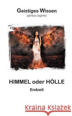 Himmel oder Hölle: Endzeit Brand, Mike 9783743127470 Books on Demand